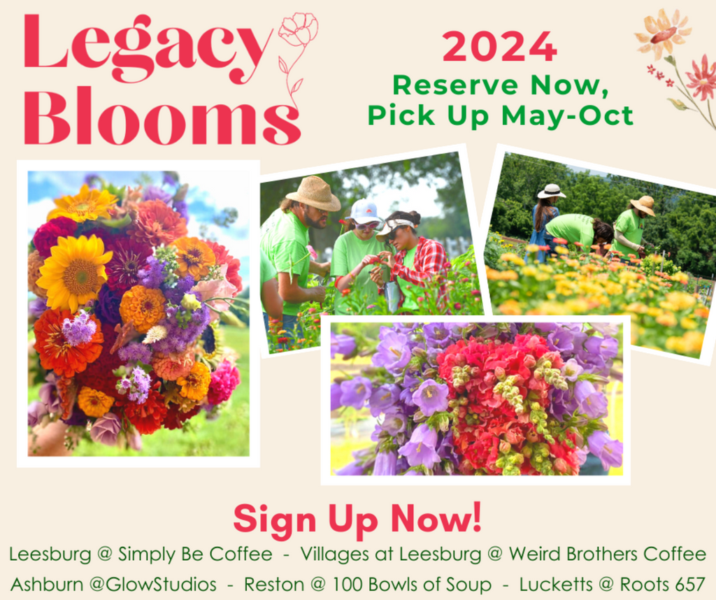 Legacy Blooms CSA Bouquet Subscription